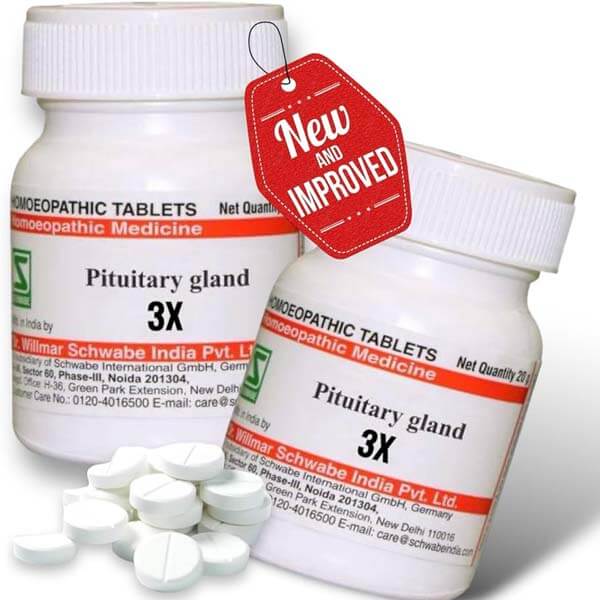 1.jpg Pituitary Gland - Image 1