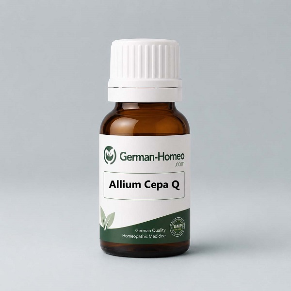 Allium Cepa Q Allium Cepa Q