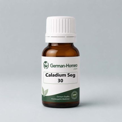 Caladium Seg 30