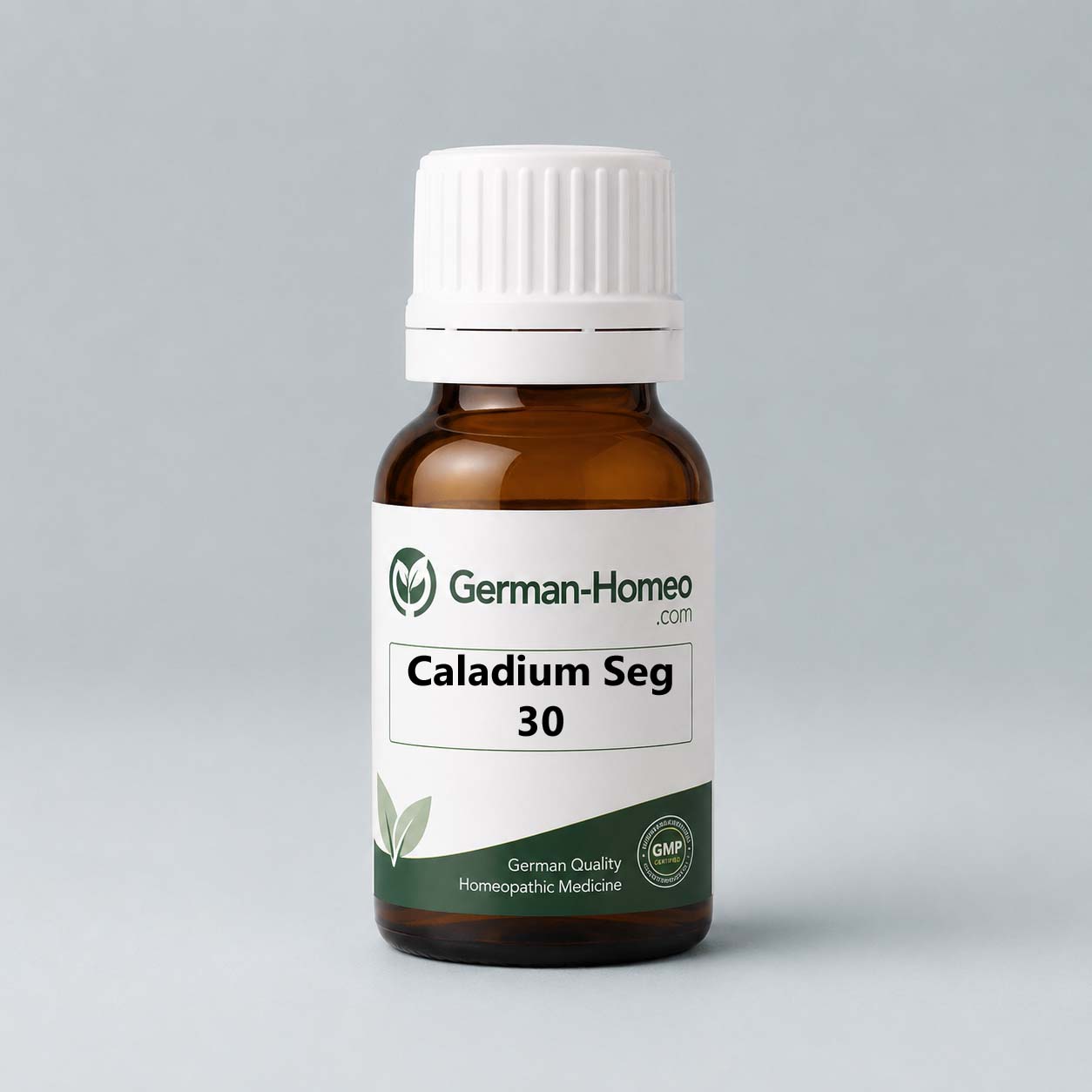 Caladium Seg 30 Caladium Seg 30