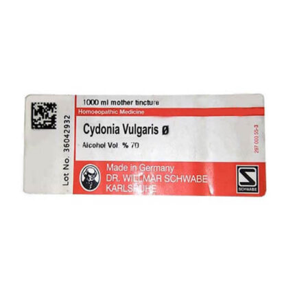 Cydonia Vulgaris Q